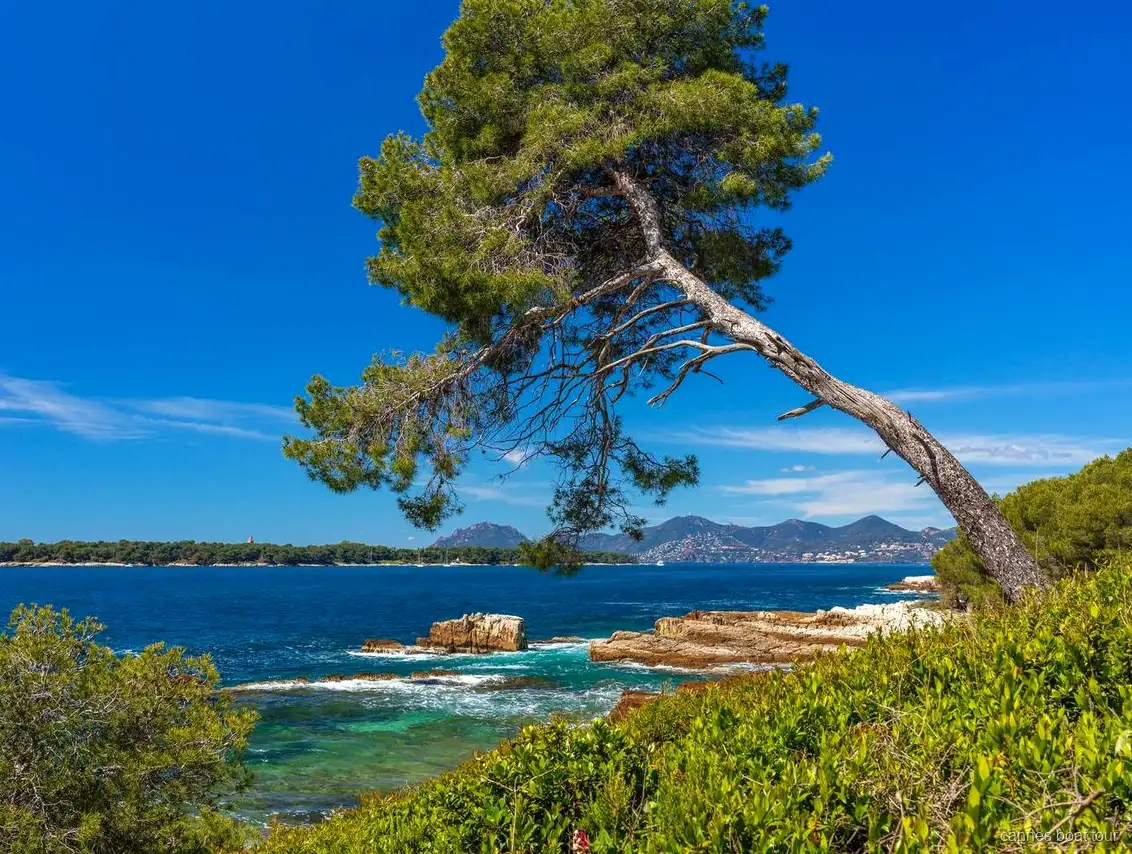 Fort Royal fortress walls on the Lerins Islands ferry tour from Cannes