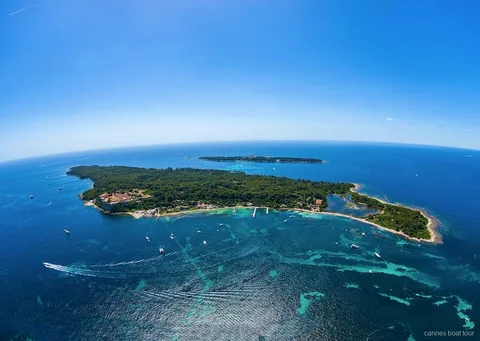 Sentier en forêt de pins sur l'Île Sainte-Marguerite près de Cannes
